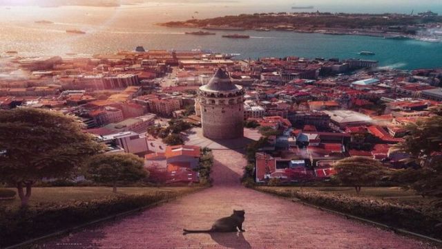 HAYALLERDE İSTANBUL