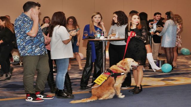 REHBER KÖPEK ADAYI YAVRULARA ÖZEL PARTİ