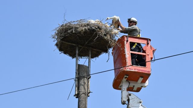 TRAKYA’NIN KUŞLARI HALKALANIYOR