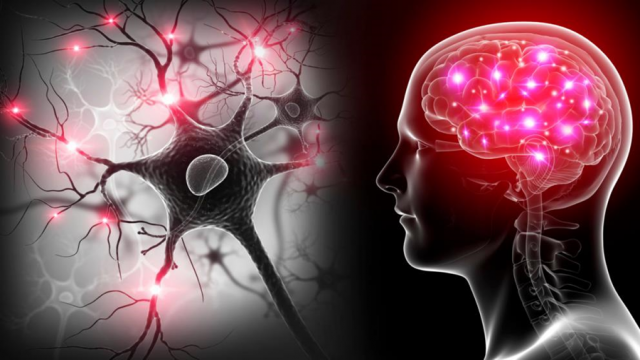 BEYİN SİNYALLERİNİ ANLAMAK KİŞİYE ÖZEL EĞİTİM ÇÖZÜMLERİNİN KAPISINI ARALIYOR