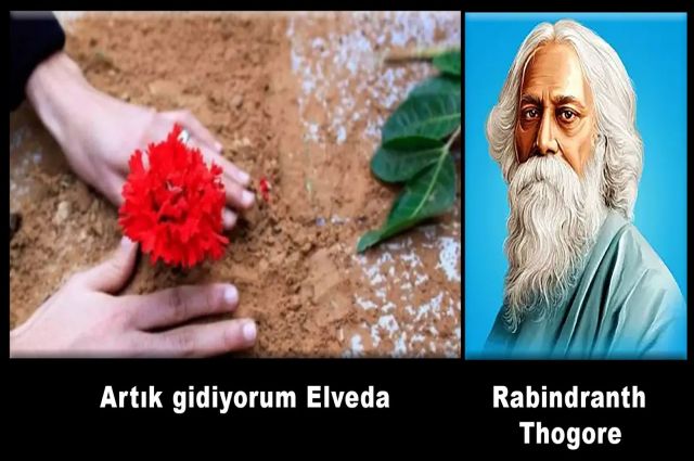 ARTIK GİDİYORUM ELVEDA