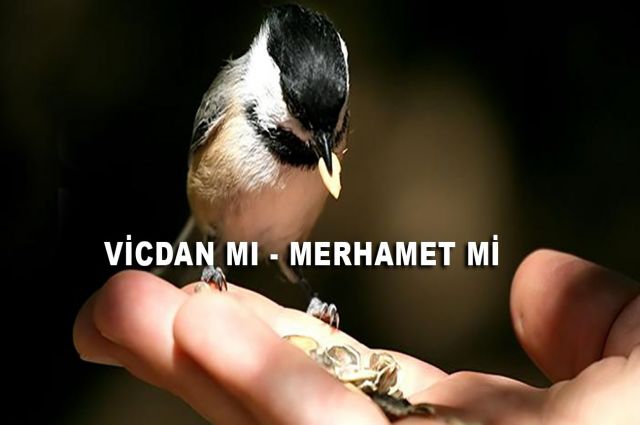 VİCDAN MI, MERHAMET Mİ?